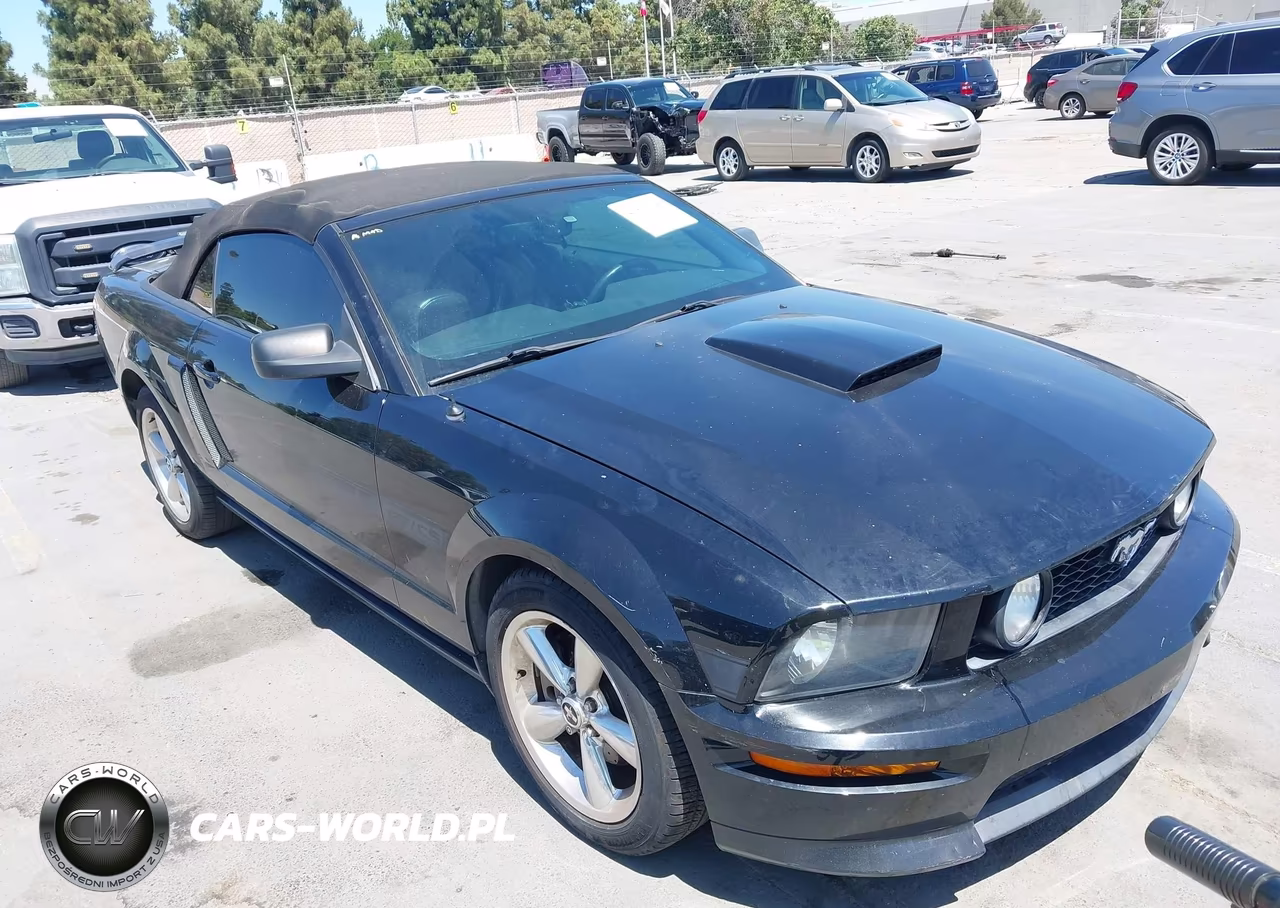 2007 Ford Mustang Gt Deluxe-Gt Premium VIN:1ZVHT85HX75229254 - 6