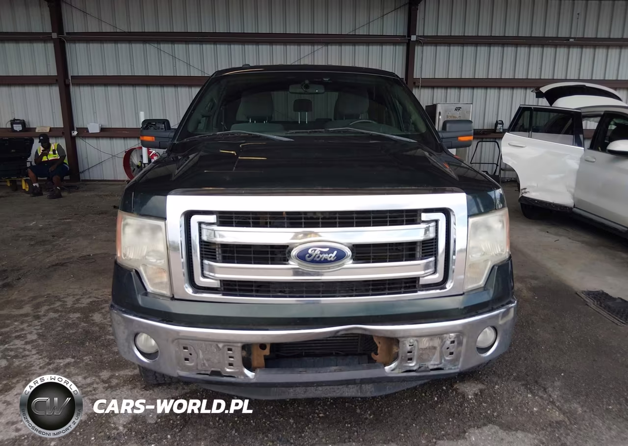 2013 Ford F-150 Xlt VIN:1FTFX1CT3DFE09825 - 12