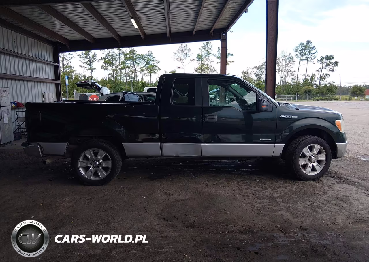 2013 Ford F-150 Xlt VIN:1FTFX1CT3DFE09825 - 13
