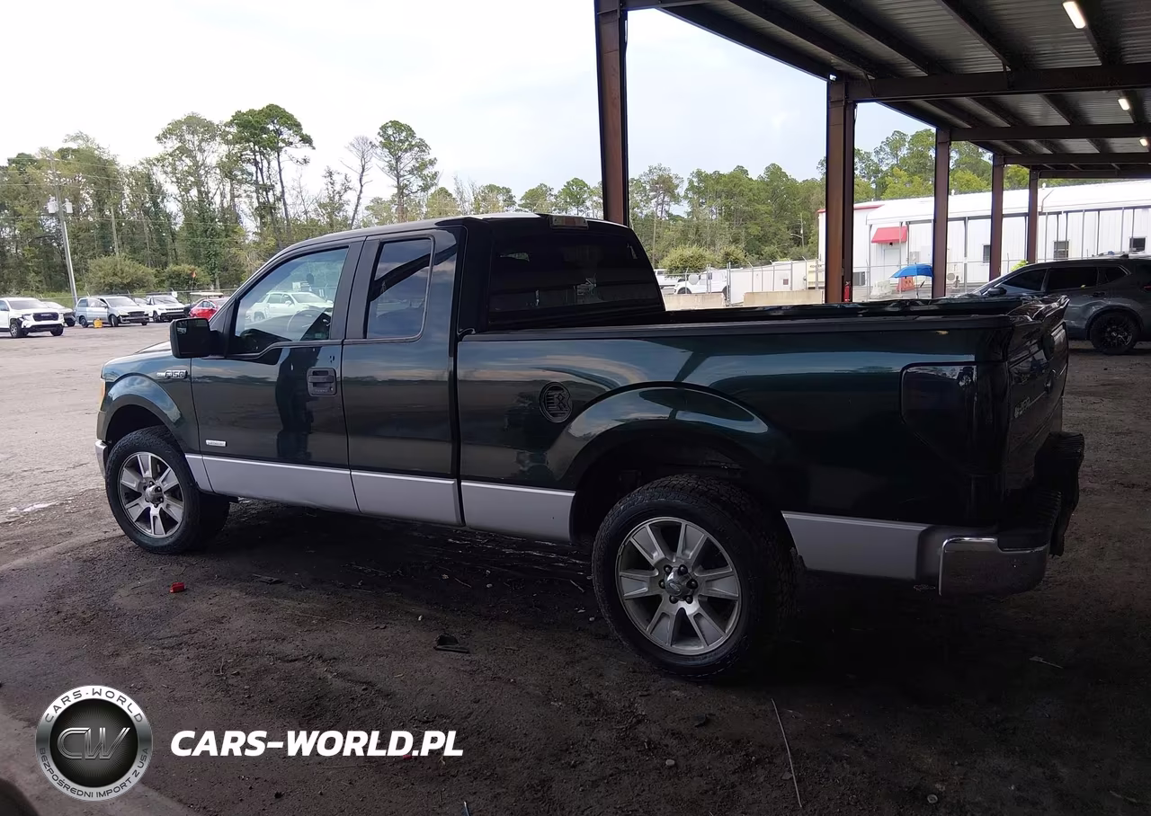 2013 Ford F-150 Xlt VIN:1FTFX1CT3DFE09825 - 14