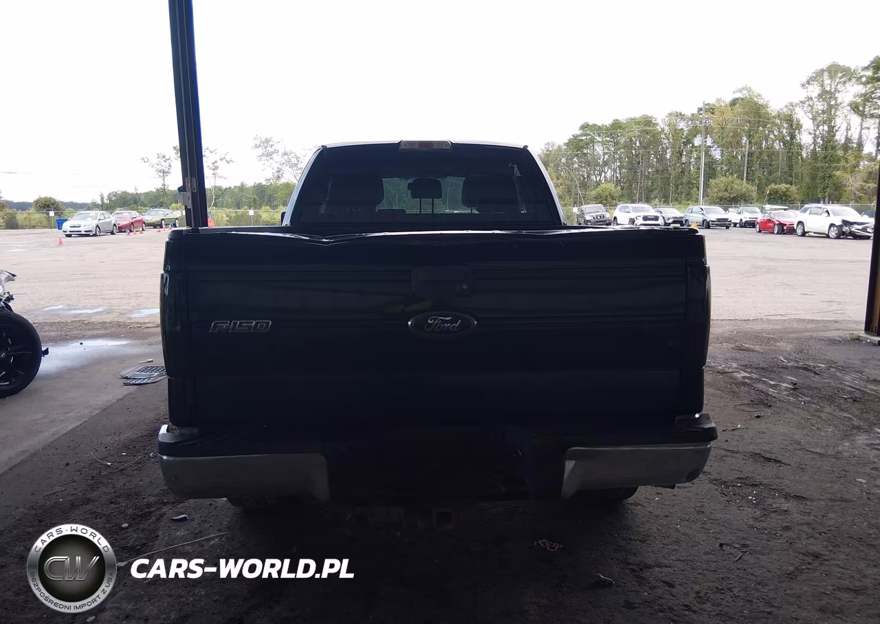 2013 Ford F-150 Xlt VIN:1FTFX1CT3DFE09825 - 16