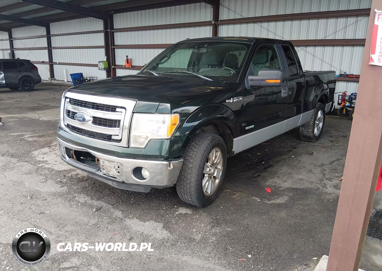 2013 Ford F-150 Xlt VIN:1FTFX1CT3DFE09825 - 2