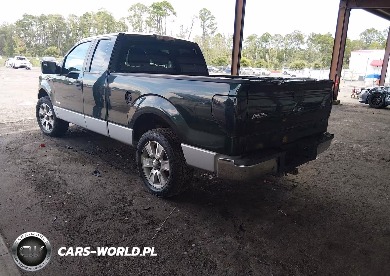 2013 Ford F-150 Xlt VIN:1FTFX1CT3DFE09825 - 3