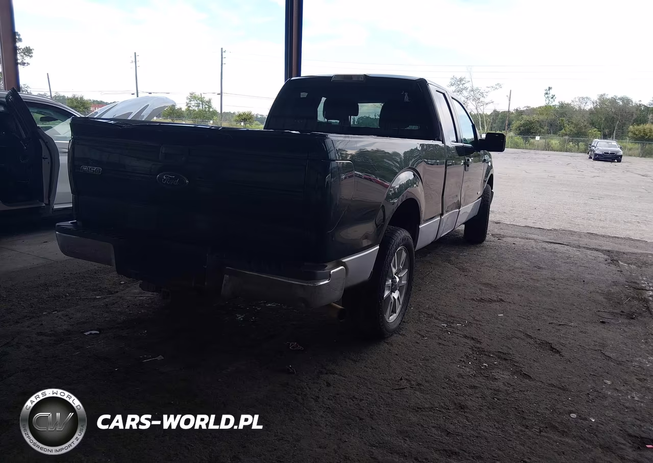 2013 Ford F-150 Xlt VIN:1FTFX1CT3DFE09825 - 4
