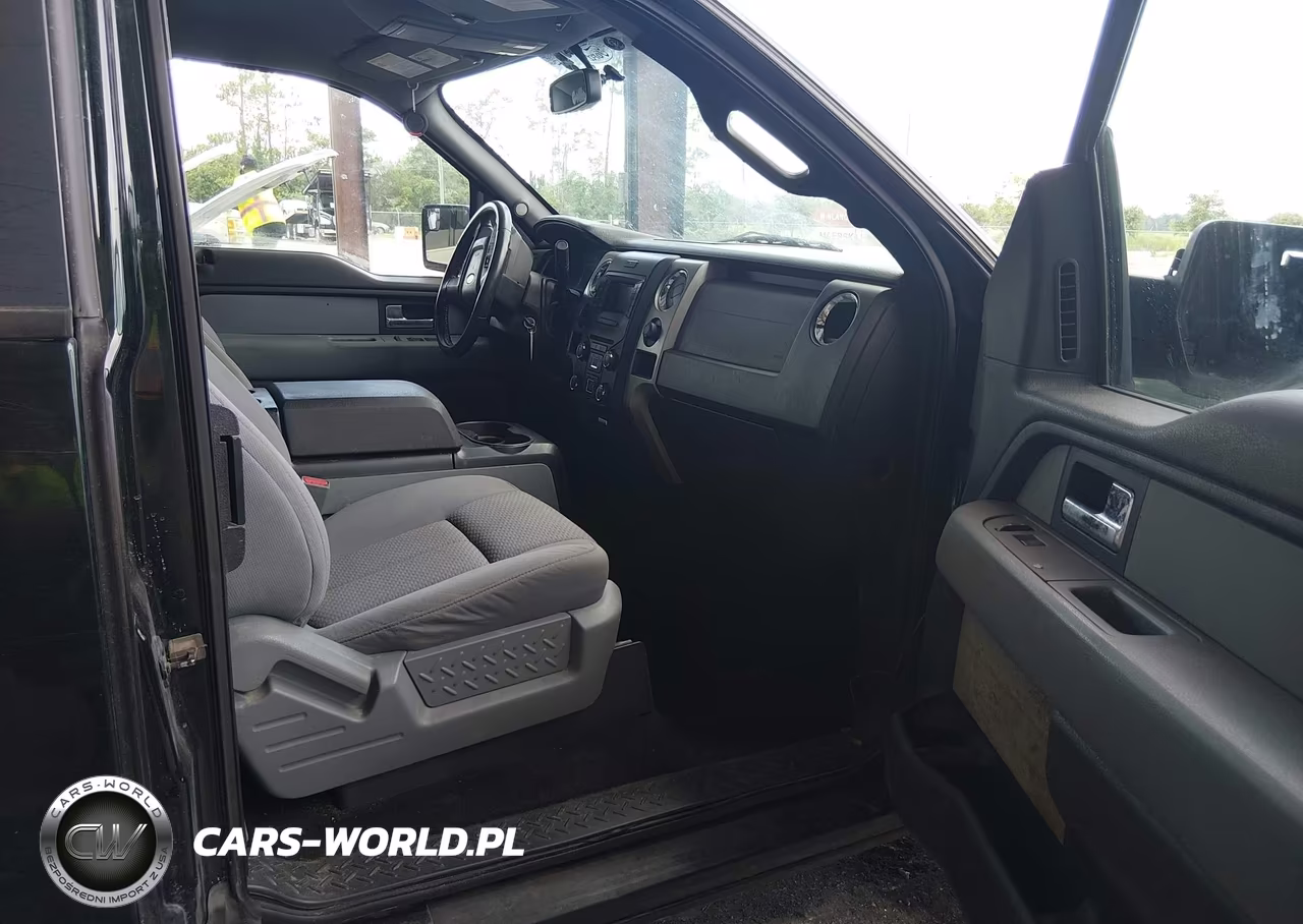 2013 Ford F-150 Xlt VIN:1FTFX1CT3DFE09825 - 5