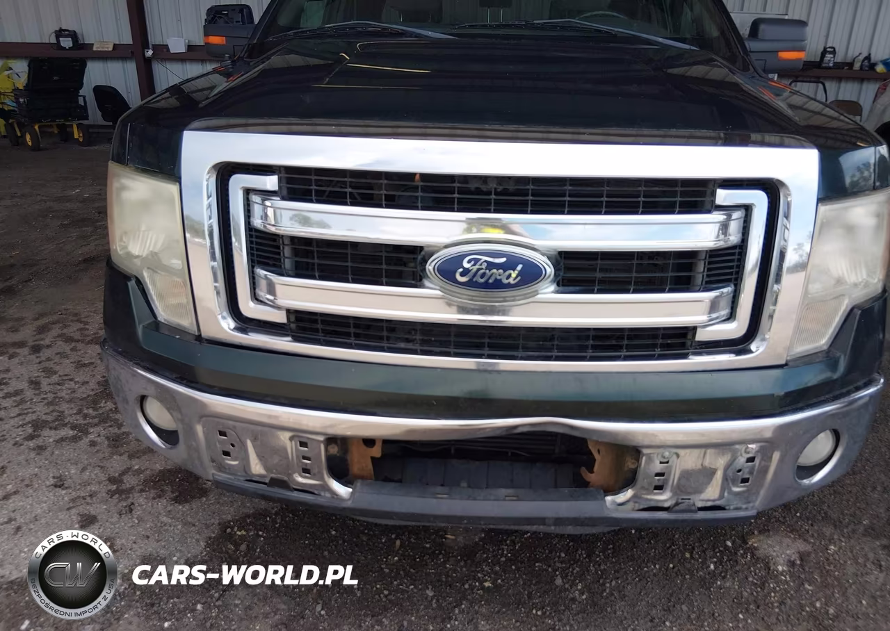2013 Ford F-150 Xlt VIN:1FTFX1CT3DFE09825 - 6
