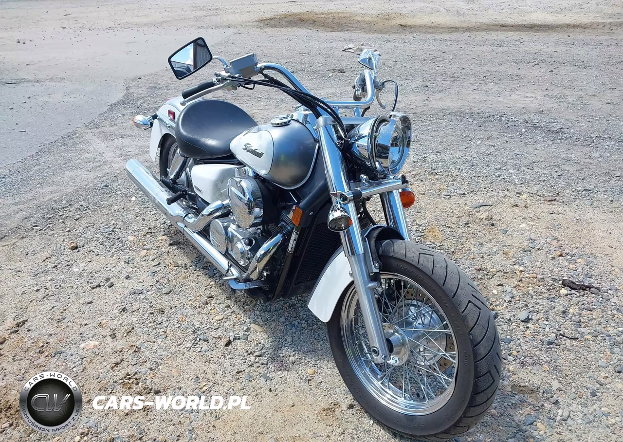 2006 Honda Vt750 Ca