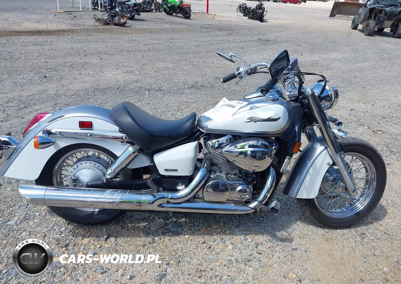 2006 Honda Vt750 Ca VIN:JH2RC50496M204495 - 12