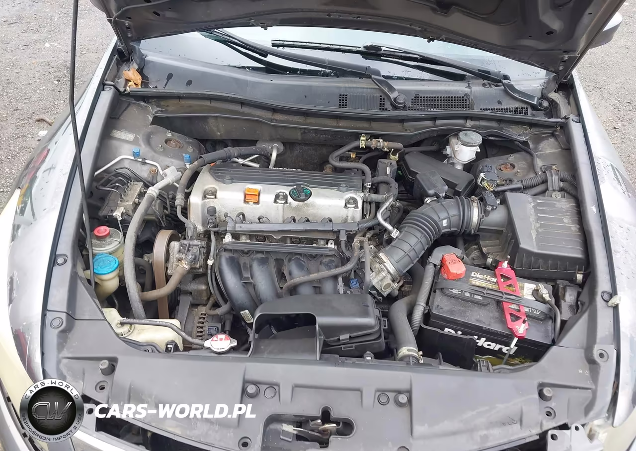 2010 Honda Accord 2.4 Lx VIN:1HGCP2F38AA171873 - 10