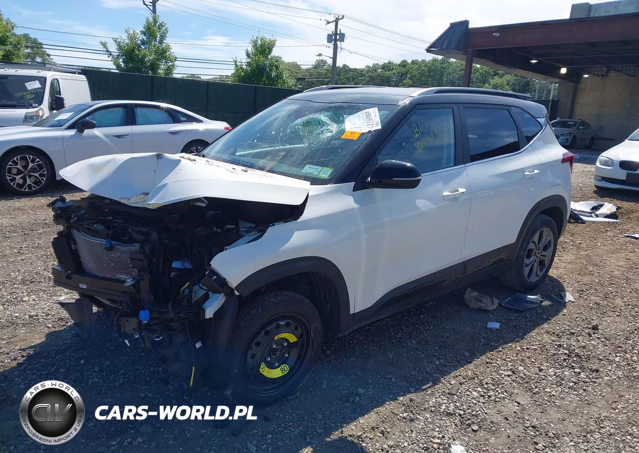 2024 Kia Seltos S VIN:KNDEUCAA2R7496474 - 2