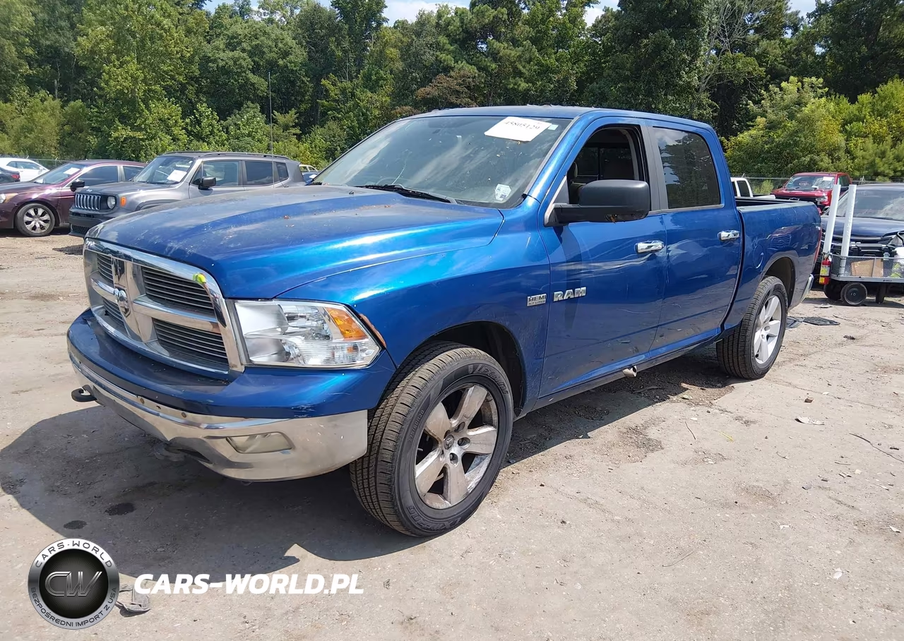 2009 Dodge Ram 1500 Slt-Sport-Trx VIN:1D3HB13T09S701316 - 2