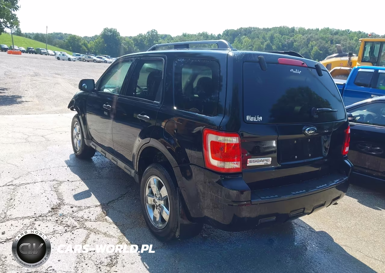 2009 Ford Escape Xlt VIN:1FMCU03G19KD15249 - 3