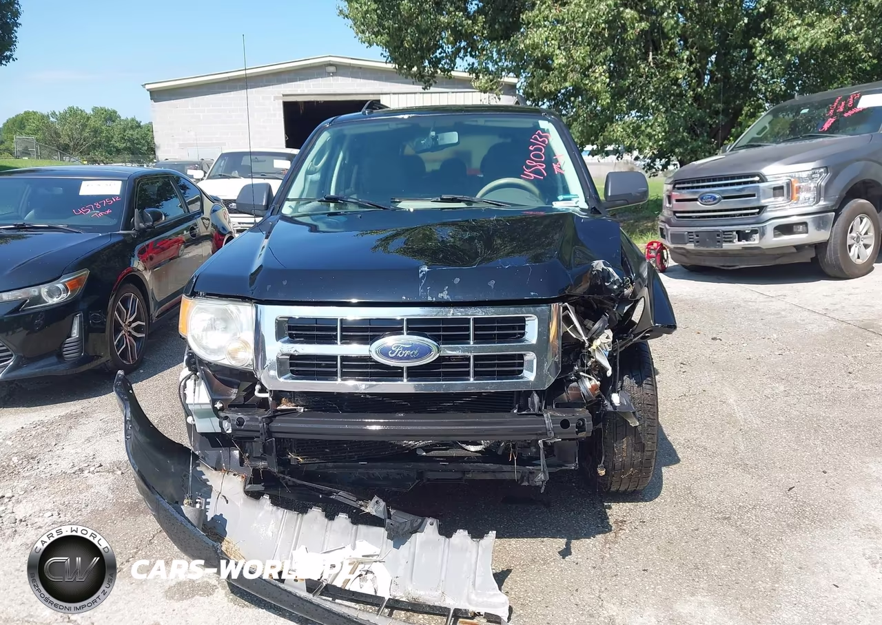 2009 Ford Escape Xlt VIN:1FMCU03G19KD15249 - 6