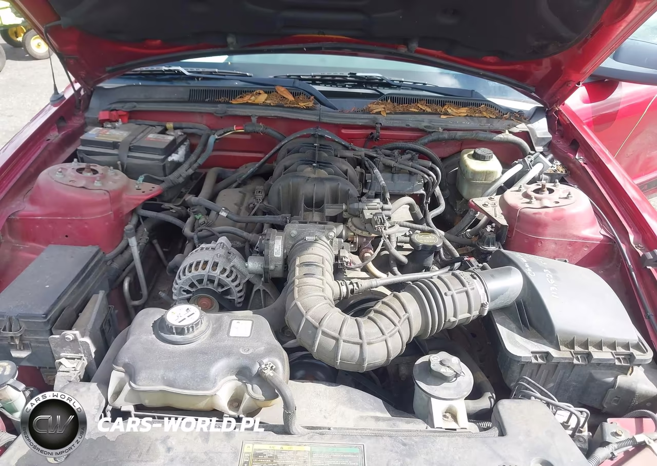 2006 Ford Mustang V6 VIN:1ZVFT80N665215693 - 10
