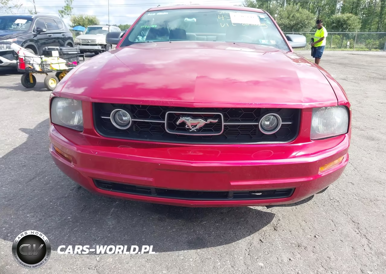 2006 Ford Mustang V6 VIN:1ZVFT80N665215693 - 12