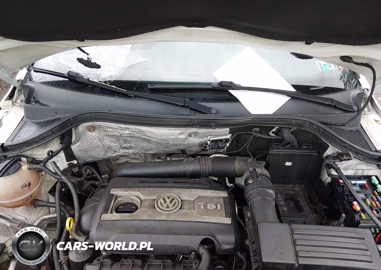 2015 Volkswagen Tiguan S VIN:WVGBV7AX9FW560258 - 10
