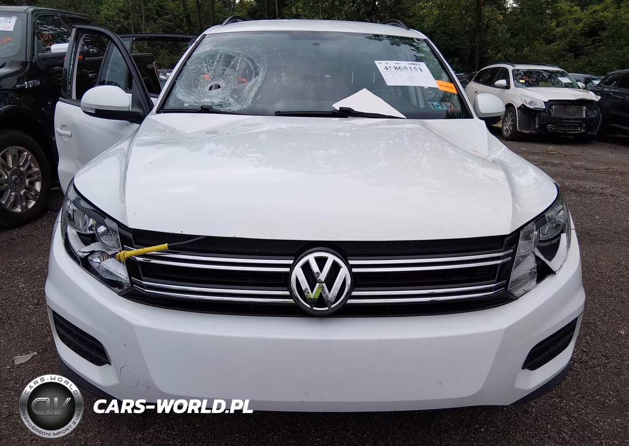2015 Volkswagen Tiguan S VIN:WVGBV7AX9FW560258 - 12