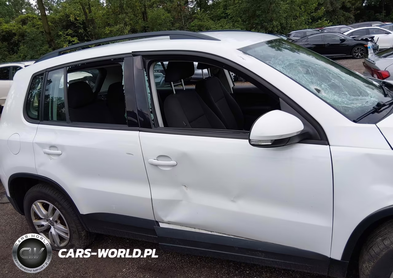 2015 Volkswagen Tiguan S VIN:WVGBV7AX9FW560258 - 13