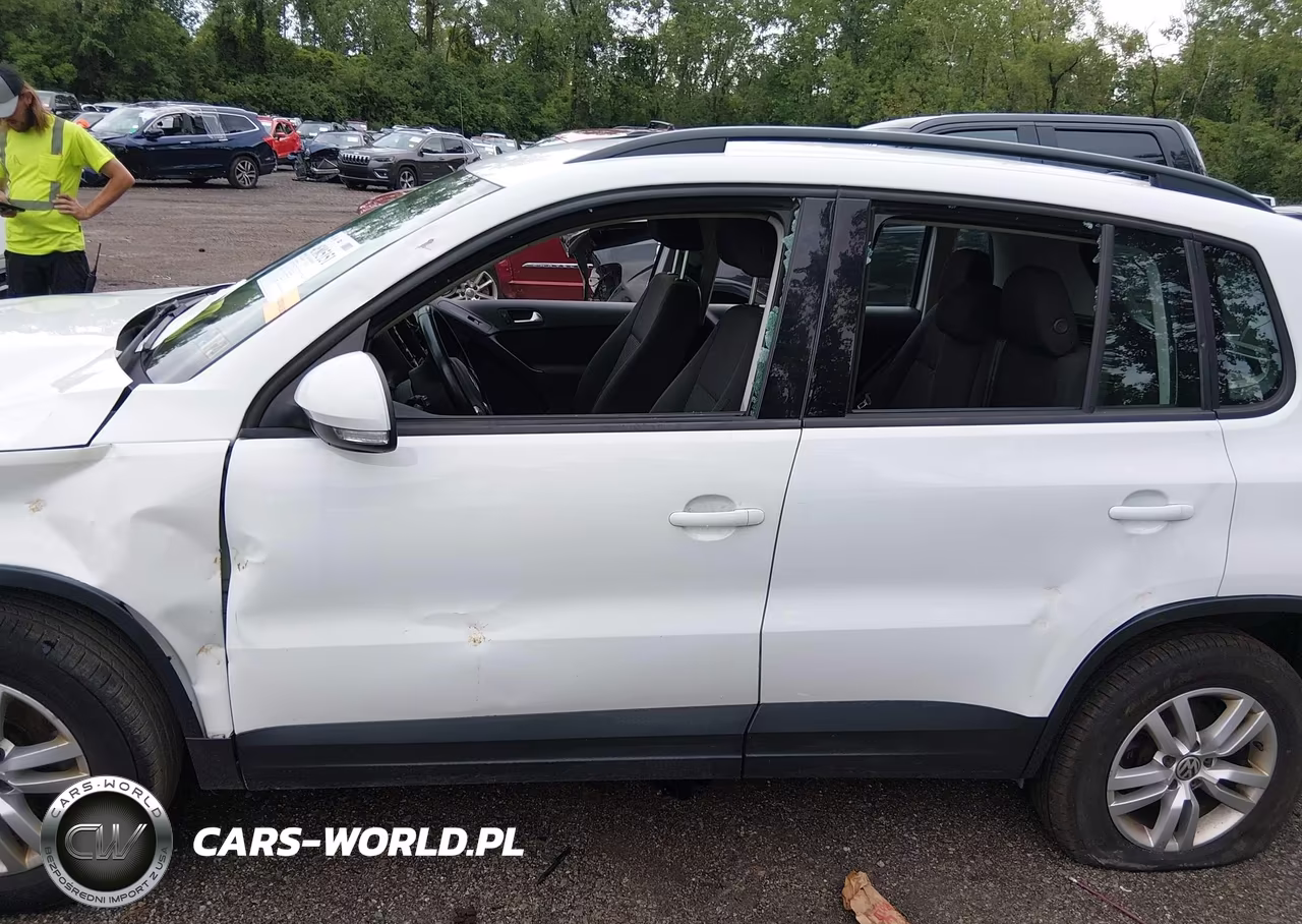 2015 Volkswagen Tiguan S VIN:WVGBV7AX9FW560258 - 14