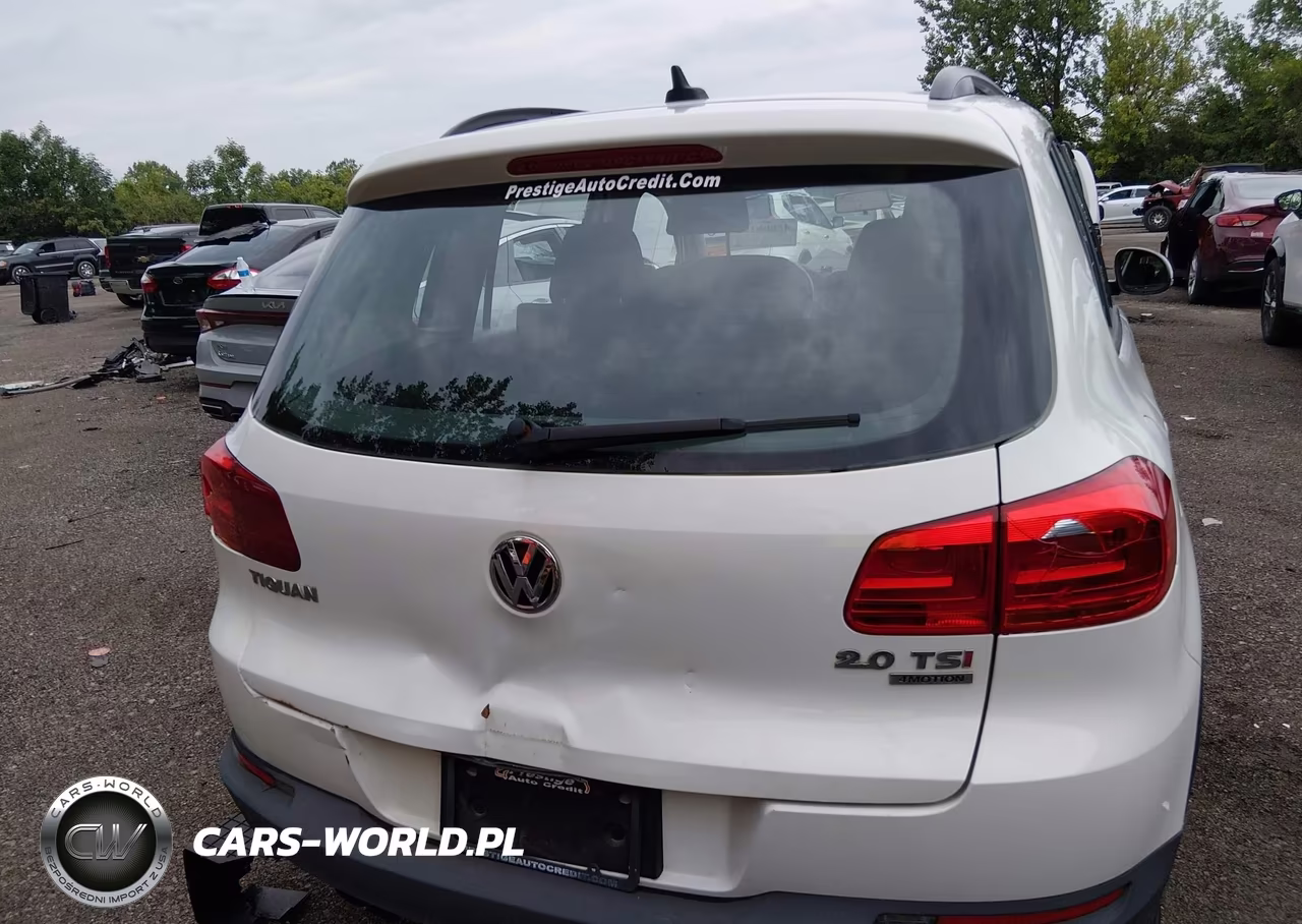 2015 Volkswagen Tiguan S VIN:WVGBV7AX9FW560258 - 16