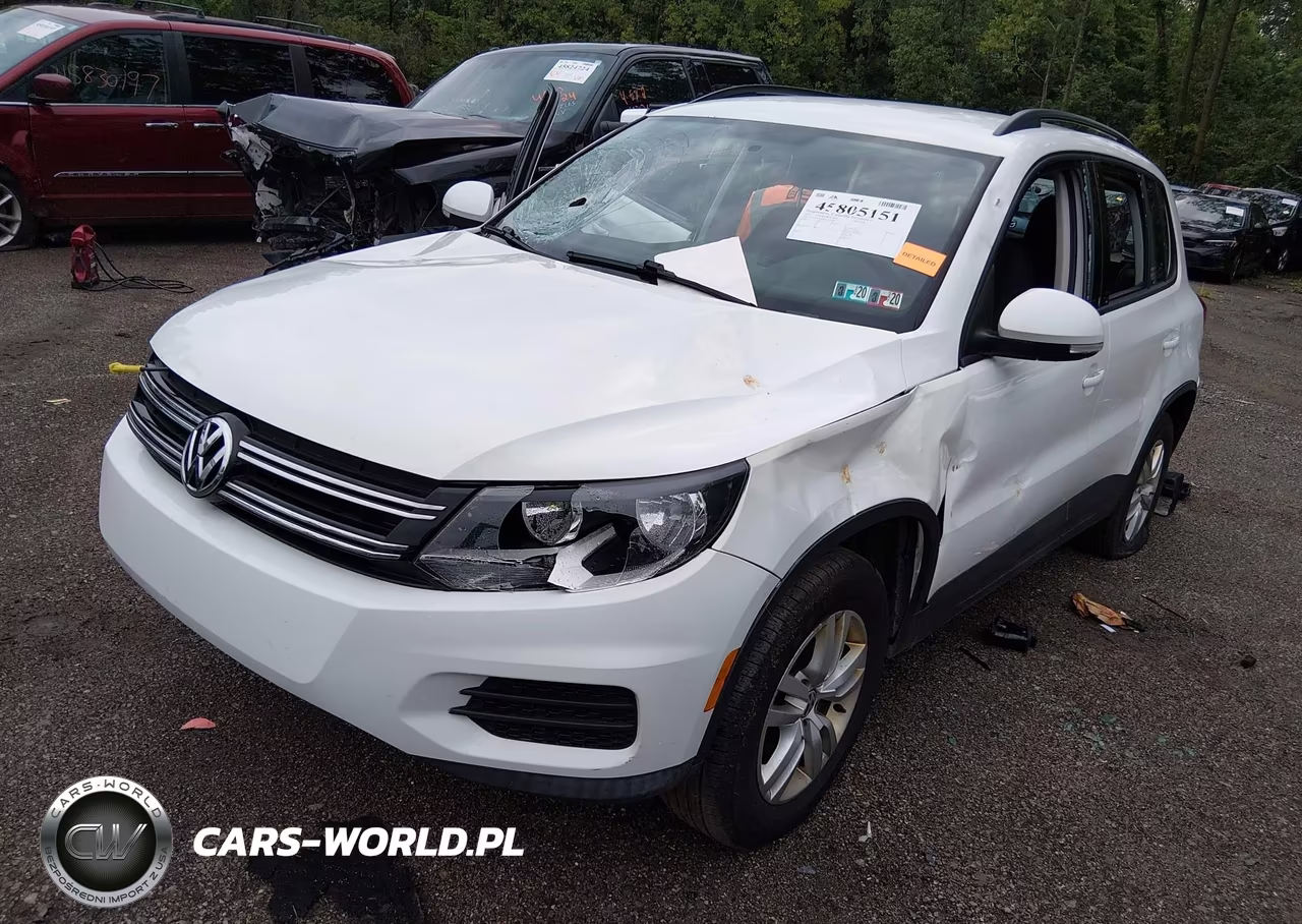 2015 Volkswagen Tiguan S VIN:WVGBV7AX9FW560258 - 2