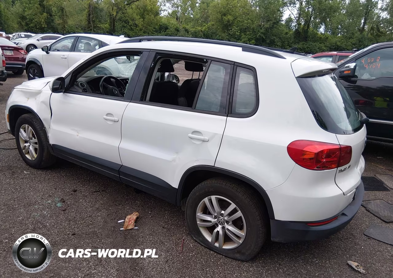 2015 Volkswagen Tiguan S VIN:WVGBV7AX9FW560258 - 3