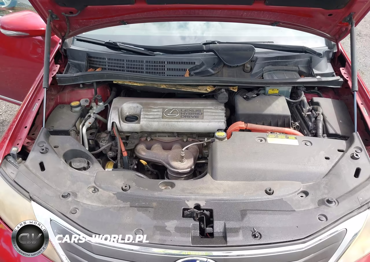 2010 Lexus Hs 250H Premium VIN:JTHBB1BA7A2012228 - 10