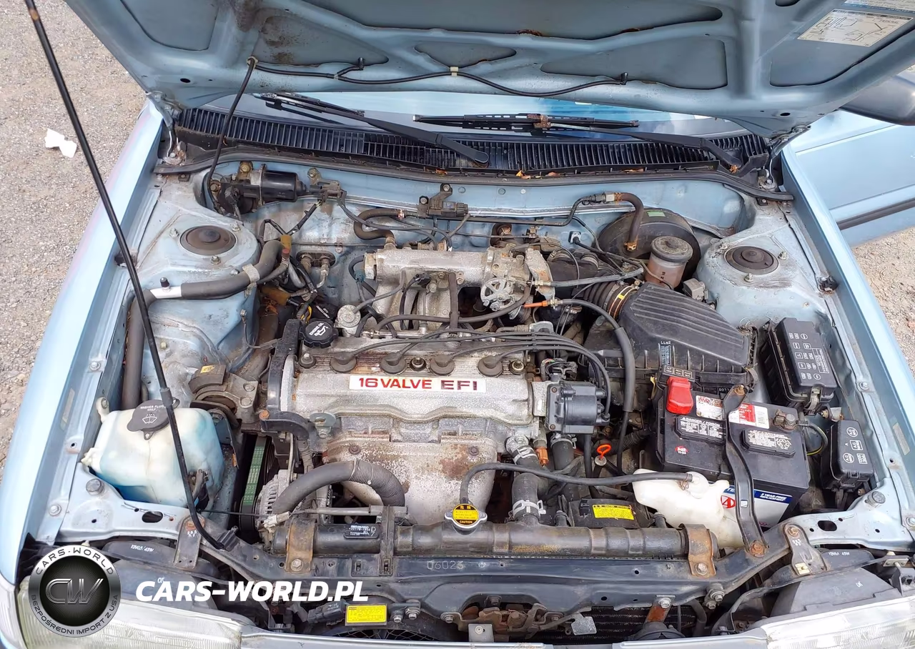 1992 Toyota Corolla VIN:2T1AE91A9NC135976 - 10
