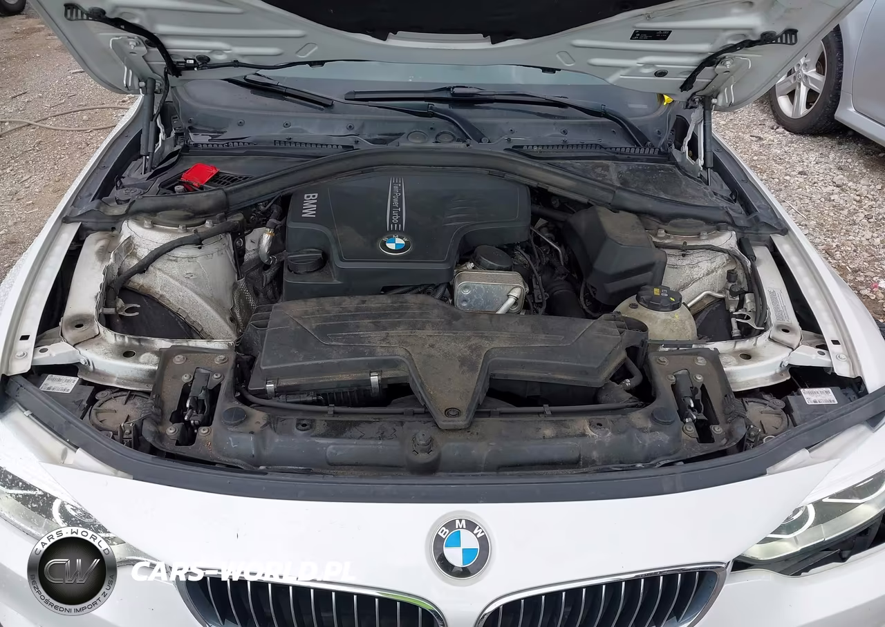 2016 BMW 428I xDrive VIN:WBA3N9C50GK249341 - 10