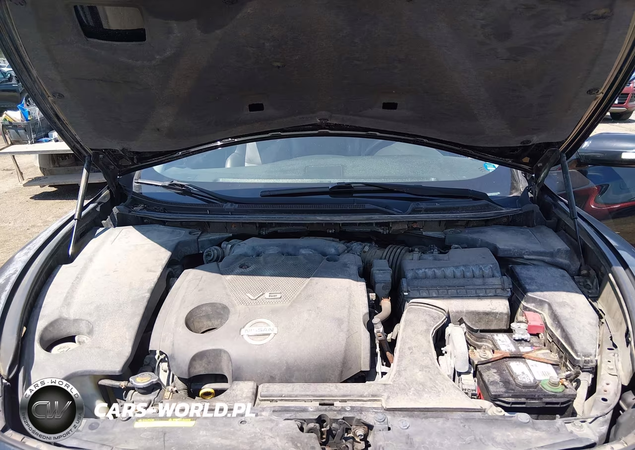 2009 Nissan Maxima 3.5 Sv VIN:1N4AA51E19C827239 - 10