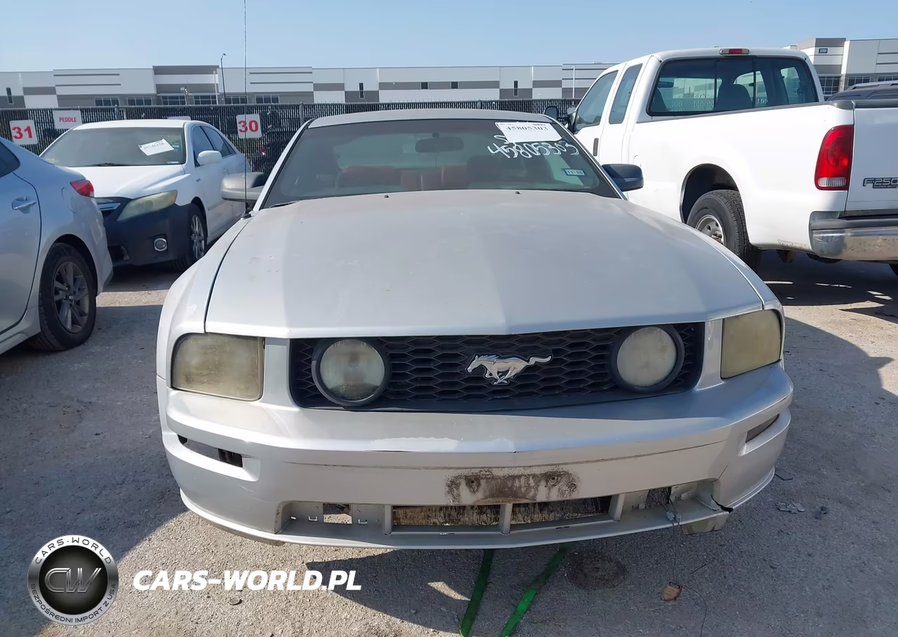 2005 Ford Mustang Gt Deluxe-Gt Premium VIN:1ZVFT82H555112951 - 6