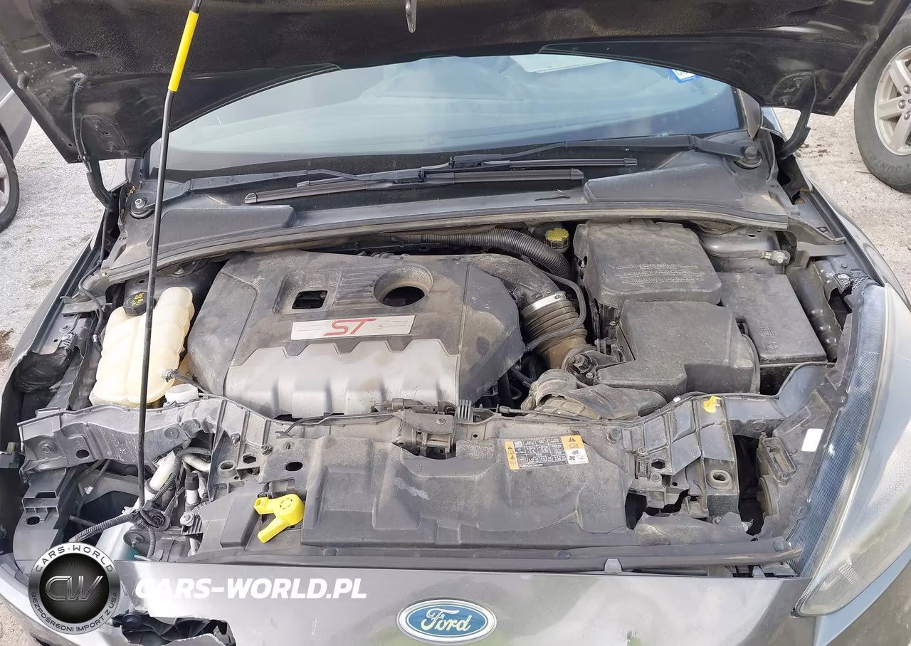 2016 Ford Focus St VIN:1FADP3L9XGL225839 - 10