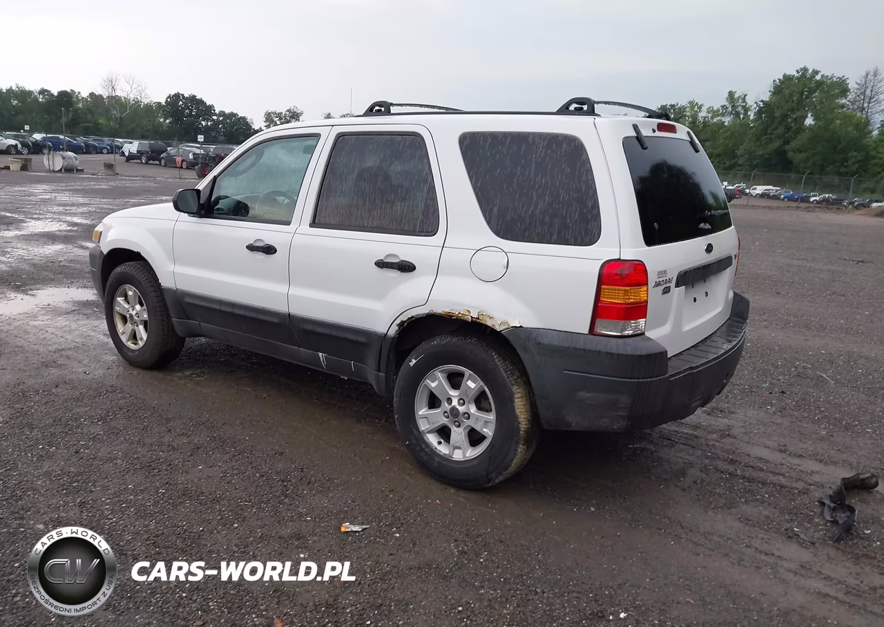 2006 Ford Escape Xlt-Xlt Sport VIN:1FMYU93176KB57744 - 3
