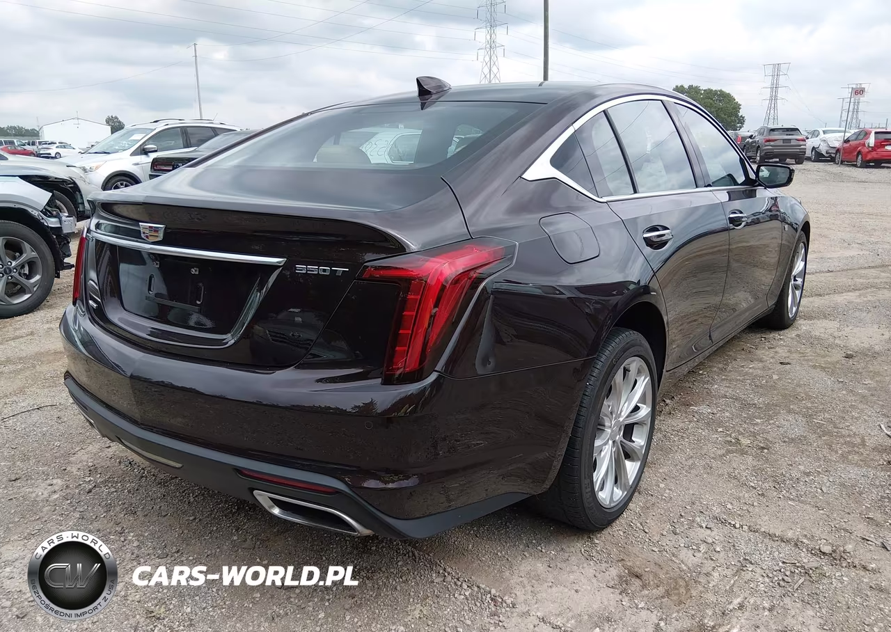 2021 Cadillac Ct5 Premium Luxury VIN:1G6DT5RK2M0145494 - 4