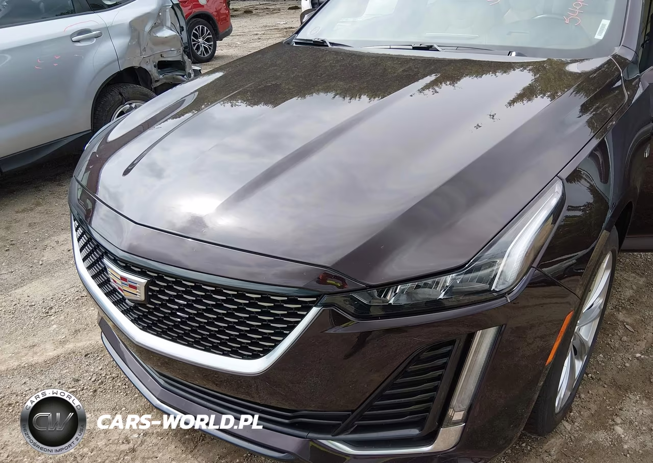 2021 Cadillac Ct5 Premium Luxury VIN:1G6DT5RK2M0145494 - 6