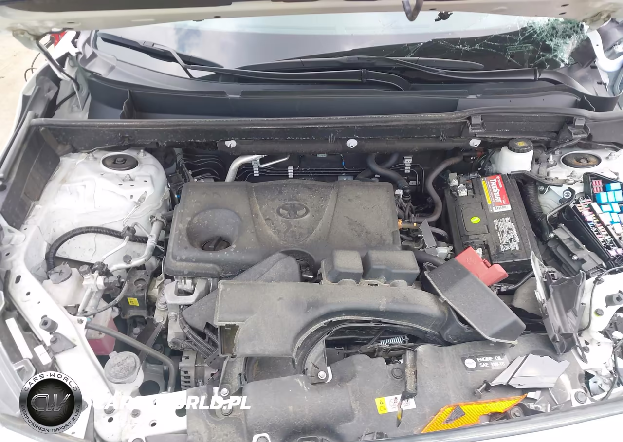 2024 Toyota Rav4 Xle VIN:2T3P1RFV8RC435121 - 10