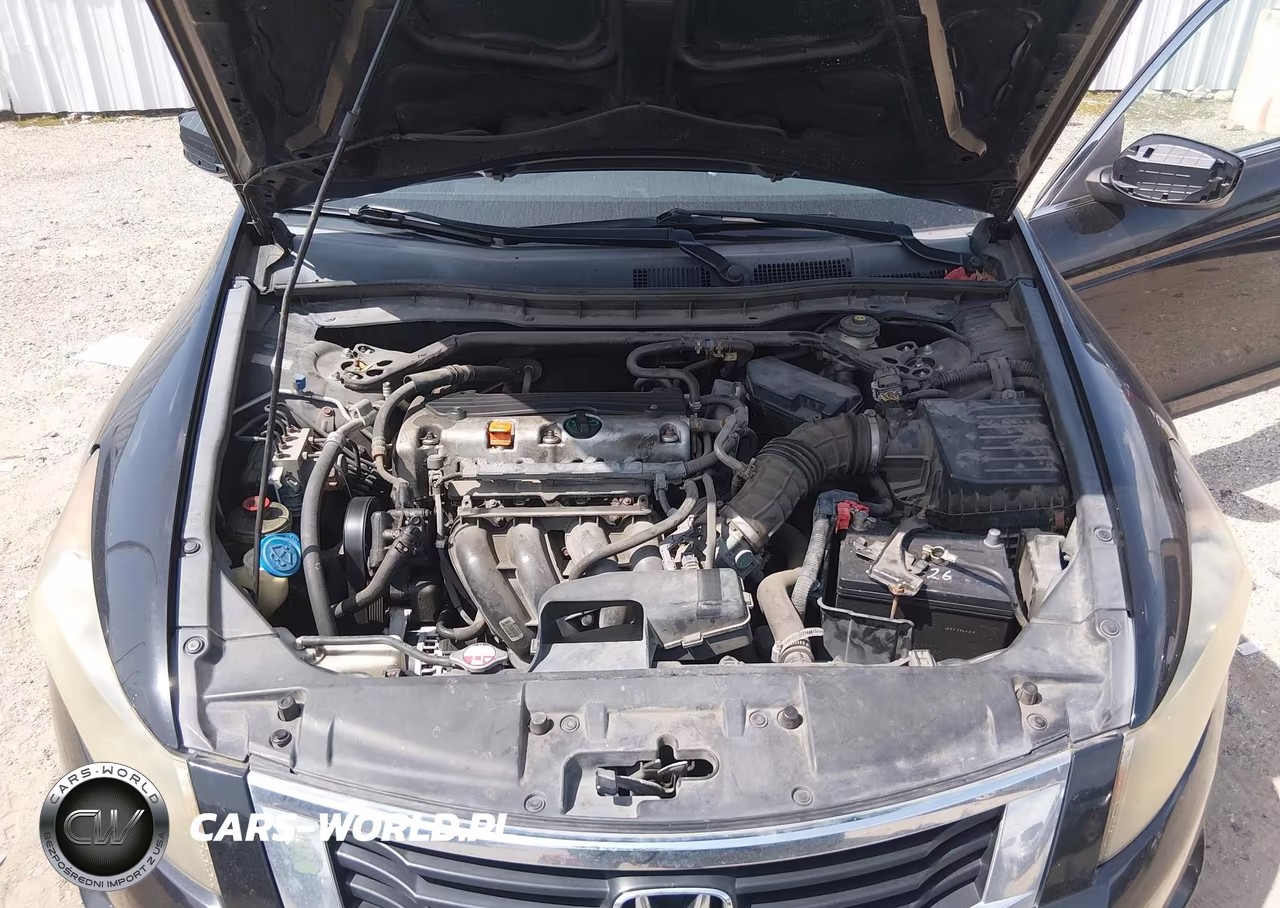 2010 Honda Accord 2.4 Ex VIN:1HGCP2F75AA050110 - 10