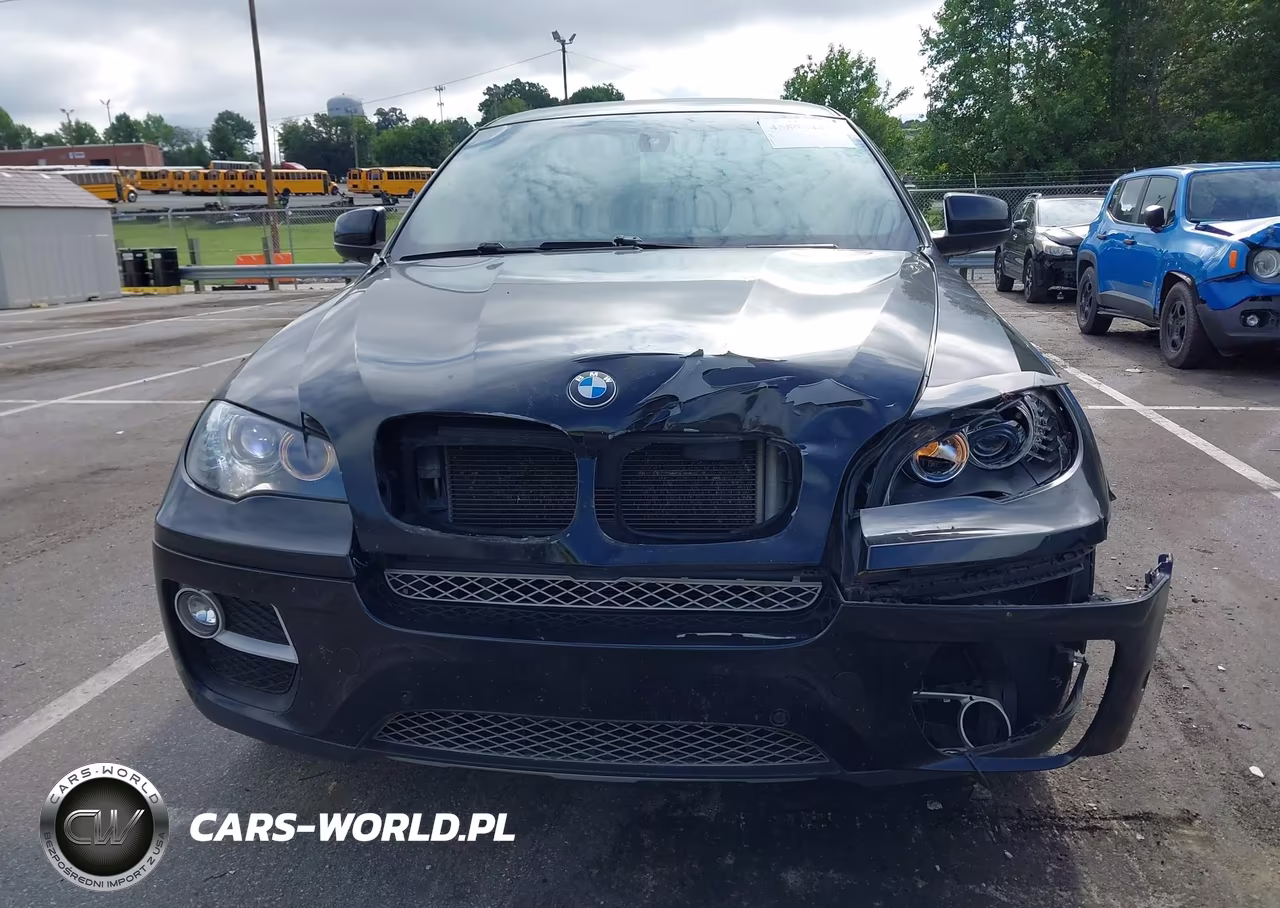 2014 BMW X6 xDrive35I VIN:5UXFG2C51E0C43513 - 12