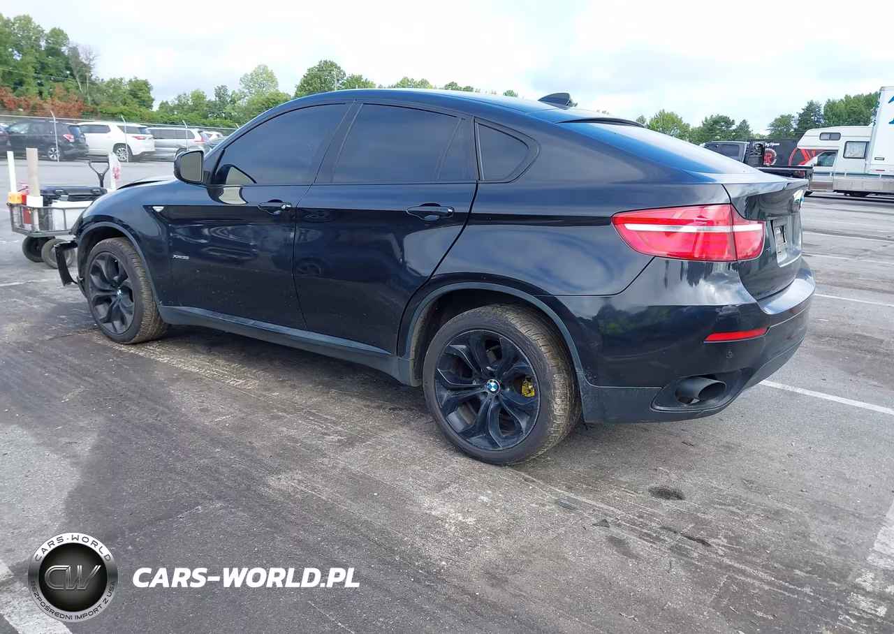 2014 BMW X6 xDrive35I VIN:5UXFG2C51E0C43513 - 3