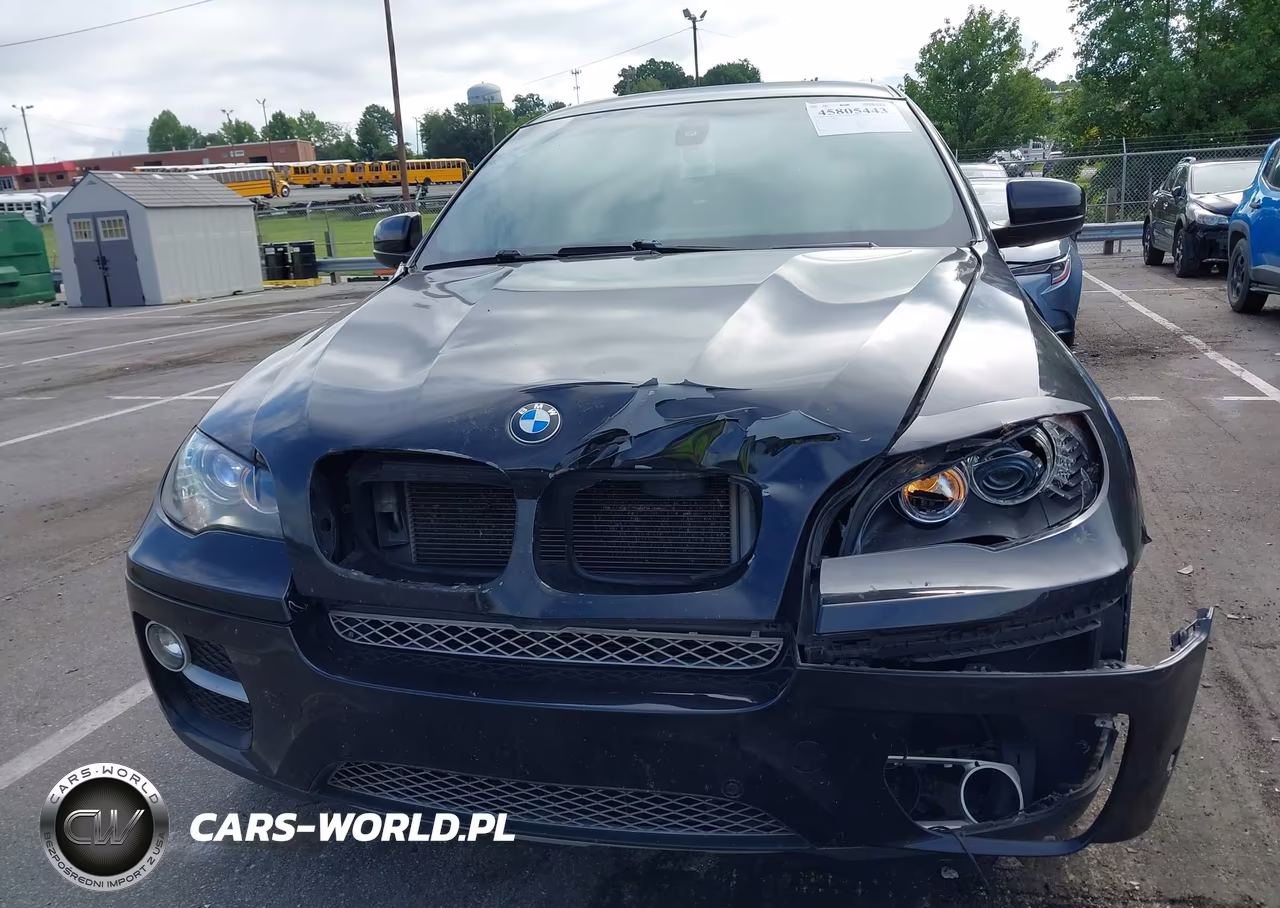 2014 BMW X6 xDrive35I VIN:5UXFG2C51E0C43513 - 6