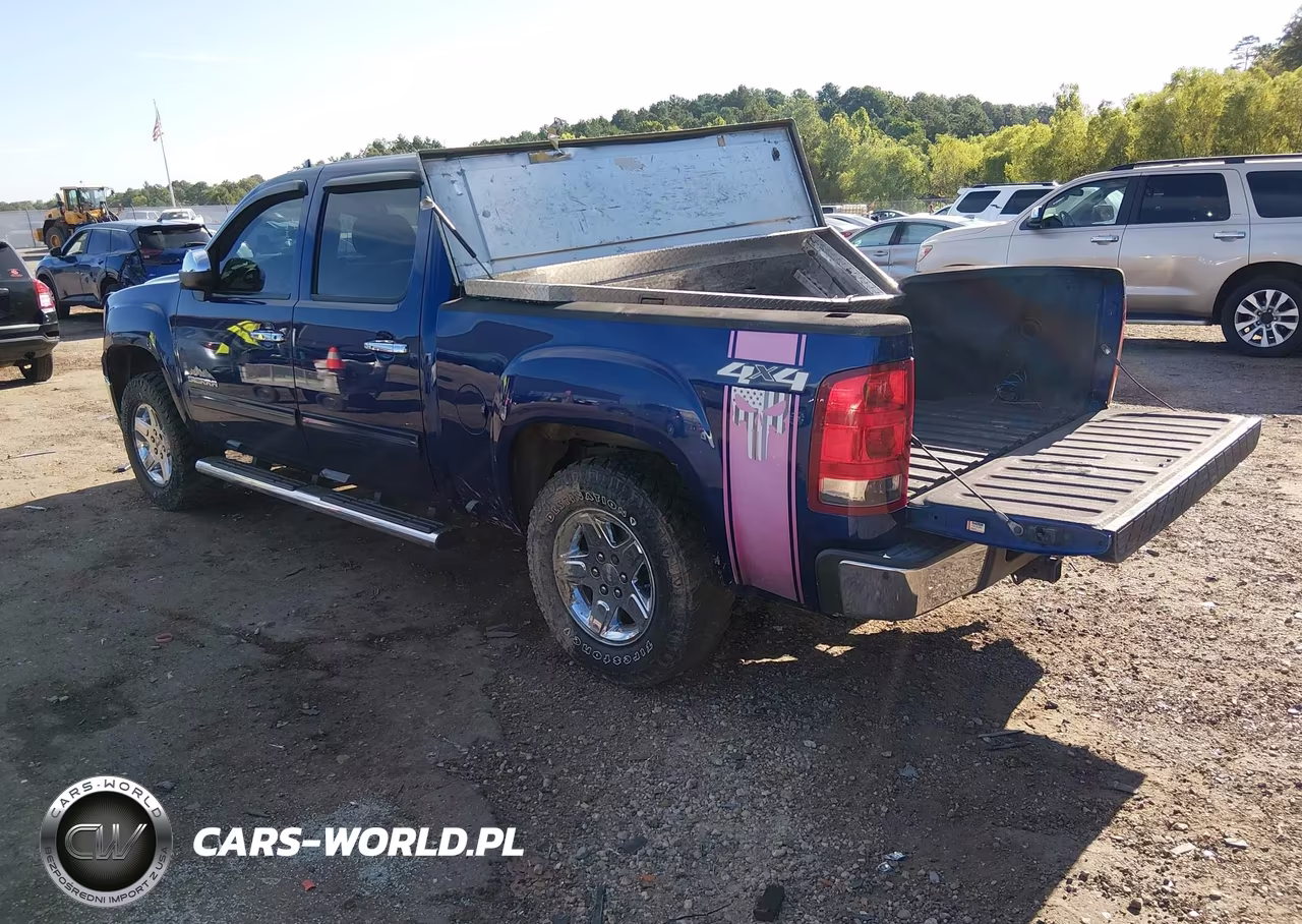 2013 GMC Sierra 1500 Sl VIN:3GTP2UEAXDG232544 - 3