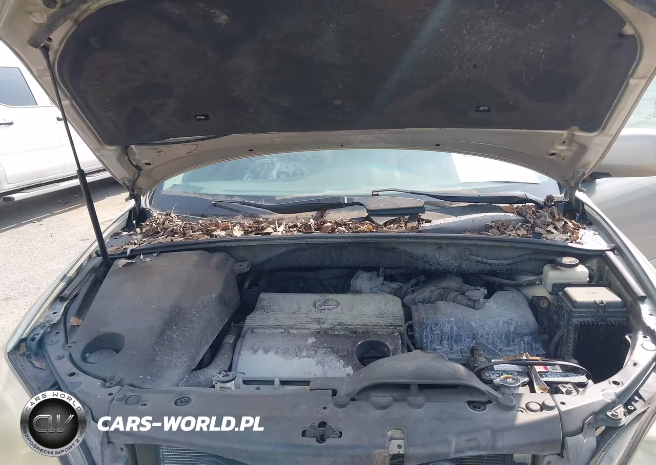 2005 Lexus Rx 330 VIN:2T2GA31U75C021189 - 10