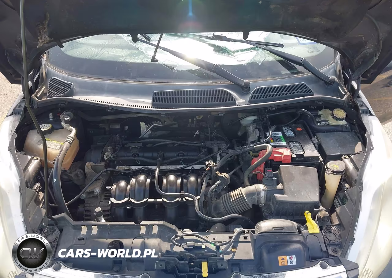 2013 Ford Fiesta Se VIN:3FADP4BJ3DM219876 - 10