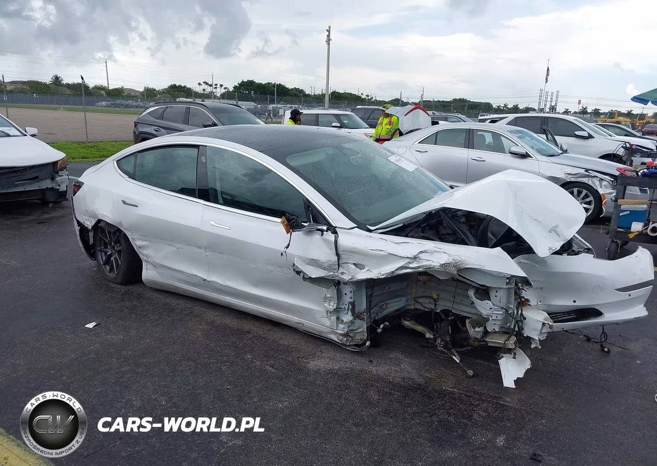 2019 Tesla Model 3 Long Range-Mid Range-Standard Range-Standard Range Plus – zdjęcie 1 z 22