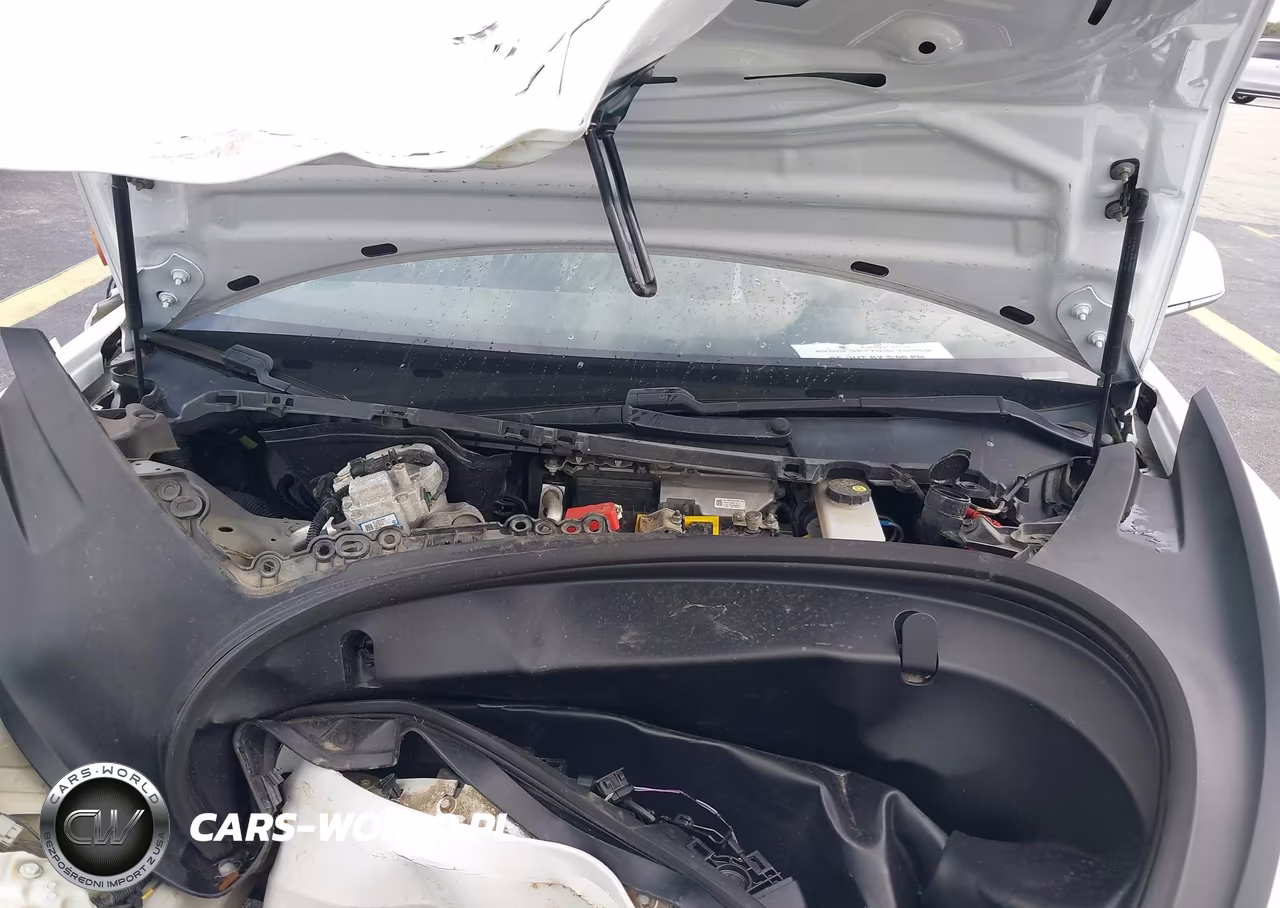2019 Tesla Model 3 Long Range-Mid Range-Standard Range-Standard Range Plus VIN:5YJ3E1EA4KF415915 - 10