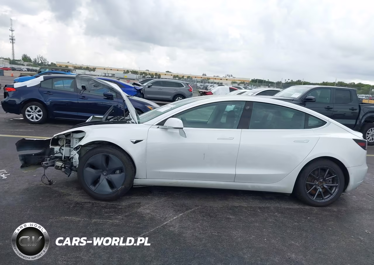 2019 Tesla Model 3 Long Range-Mid Range-Standard Range-Standard Range Plus VIN:5YJ3E1EA4KF415915 - 15