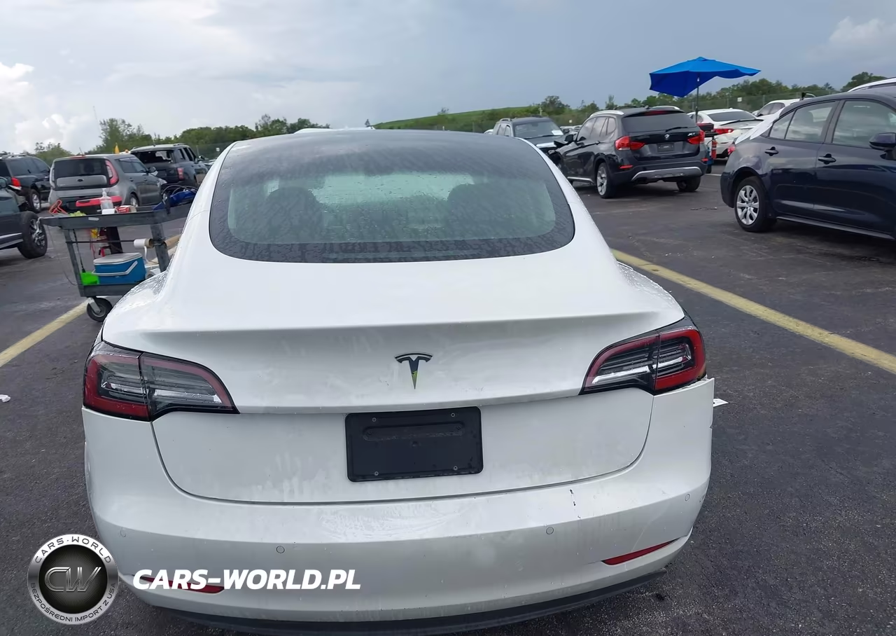 2019 Tesla Model 3 Long Range-Mid Range-Standard Range-Standard Range Plus VIN:5YJ3E1EA4KF415915 - 17