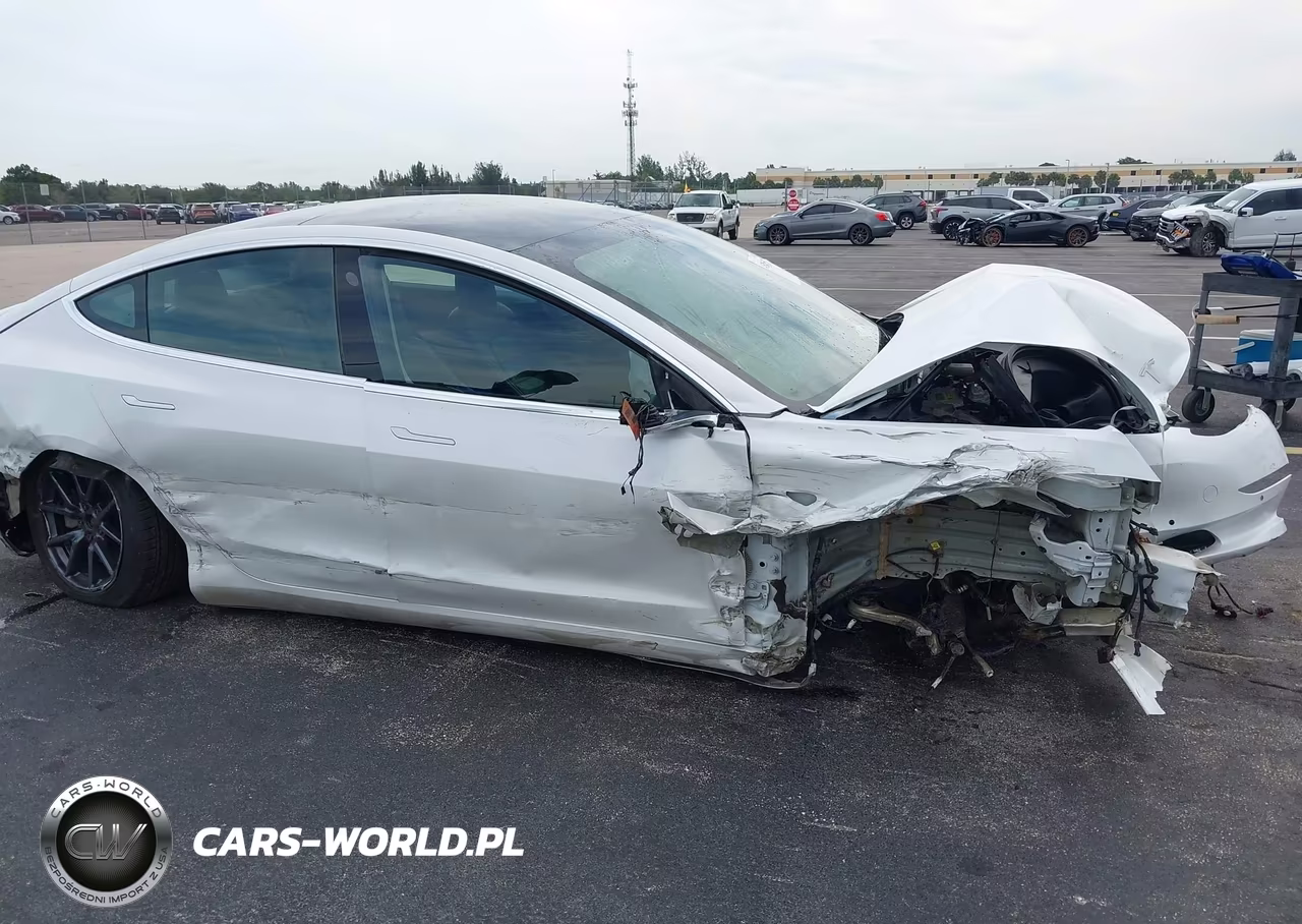 2019 Tesla Model 3 Long Range-Mid Range-Standard Range-Standard Range Plus VIN:5YJ3E1EA4KF415915 - 20