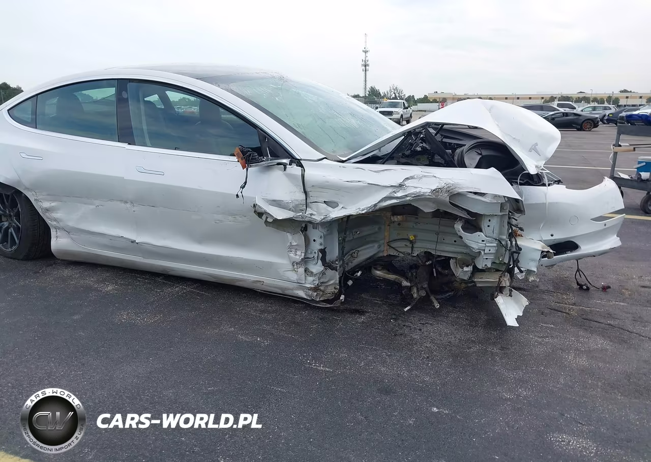 2019 Tesla Model 3 Long Range-Mid Range-Standard Range-Standard Range Plus VIN:5YJ3E1EA4KF415915 - 21