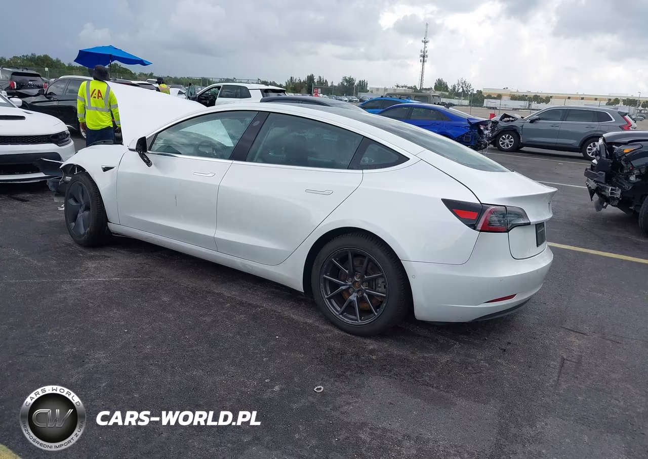 2019 Tesla Model 3 Long Range-Mid Range-Standard Range-Standard Range Plus VIN:5YJ3E1EA4KF415915 - 3